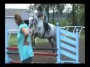 Equitation... Viva La Vita