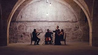 Artmusic Ensemble - Can't Help Falling In Love - E. Presley