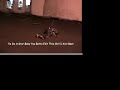 The vid so far