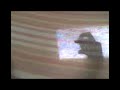 poul� ki trip tp