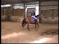 dream catcher freestyle