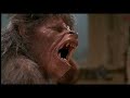 american werewolf in london