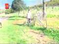 banu+alkan+unluler+ciftli�inde