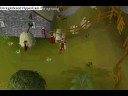 funny skillcape glitch funny skillcape glitch