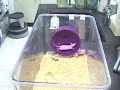 Exercise and Skin Cancer: ScienCentral News Video Exercise and Skin Cancer: ScienCentral News Video