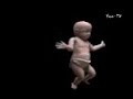 chetah stitou