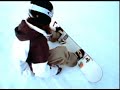 The History of Burton Snowboards The History of Burton Snowboards