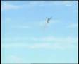Prime Harbour Helifest