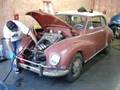 DKW startup