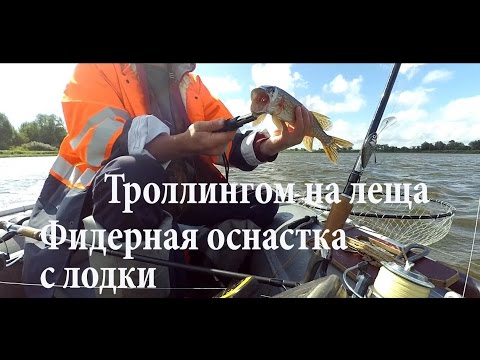 ловля лещей троллингом ловля лещей троллингом