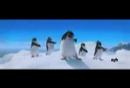 penguen fobia