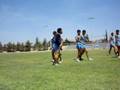 videos de Powder Puff 2008