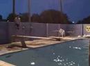 Estacado Pool