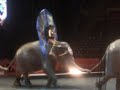 Ringling Bros Circus Ringling Bros Circus