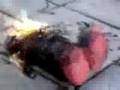 Tickle Me Elmo On Fire