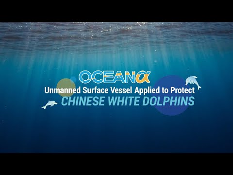Oceanalpha M40P USV Applied to Protect Chinese White Dolphin