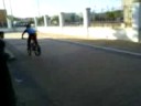 todos aciendo el tonto sin saber jaaja