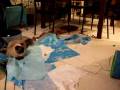 videos de Himao's reflex