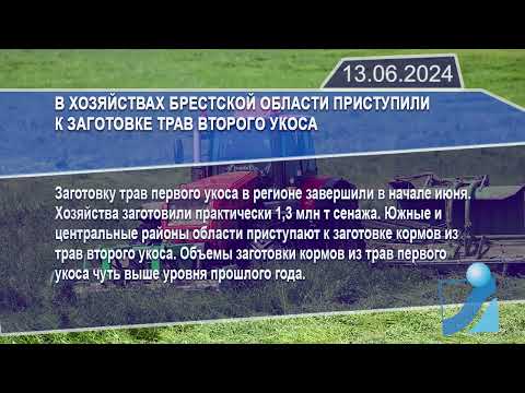 Новостная лента Телеканала Интекс 13.06.24.