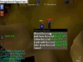 Castle Wars - Combat 115