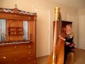 Improvisatie op Koerdische melodie -  Harp - Boek deze harpiste op www.artiestvooru.nl