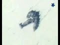 Fallen leaves Goku vs. Picollo