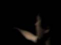 Re: Misterious Ghost Accident in Portugal - long version