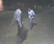peleas callejeras primera parte 