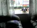 videos de Batman 3