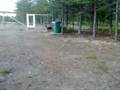 videos de Racing in the dog park