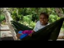 Bengazi Arrives Home - Paradise or Bust