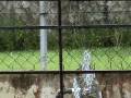videos de (#114) BLUE CCF at 027 seconds