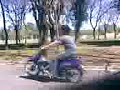 Willi Gonza Cn La Biz