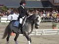 Lamotte Poneys 2007 : Dressage D2P Espoir.