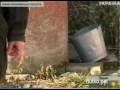 Видеоновость От засухи очень страдают Закарпатье и Буковина 