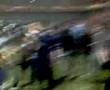videos de FESTA 16ESIMO SCUDETTO INTER S.SIRO PT12
