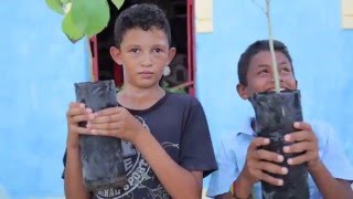 Casa Grande distribui mais de 50 mudas de árvores