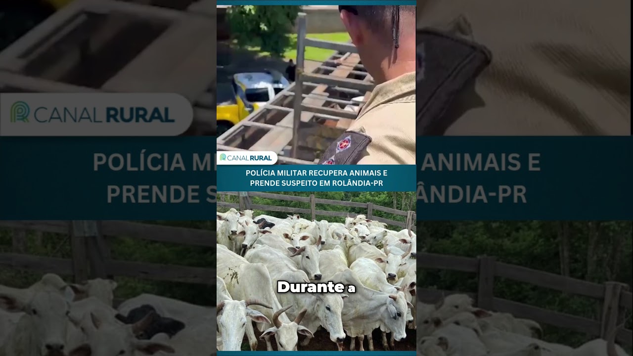 Polícia militar recupera animais e prende suspeito em Rolândia (PR)