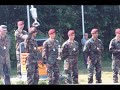 Bordo Bereliler