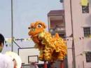 Lion Dance Lion Dance