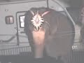 UniverSoul Circus-Schizophrenic Elephants & Training