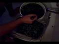 Washing blueberries