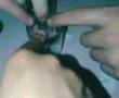 videos de weegi board again