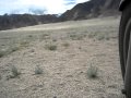 Leh : Ladahk 2010