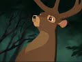 bambis life  music vid