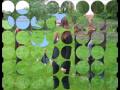 eclipse_0002.wmv
