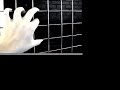 Digit