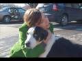 muttley 2_0001.wmv
