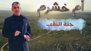 أم خشرم | جنة النقب | د. مصطفى بن صادق أم خشرم | جنة النقب | د. مصطفى بن صادق