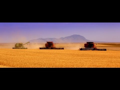 100 Years of Montana Farming!